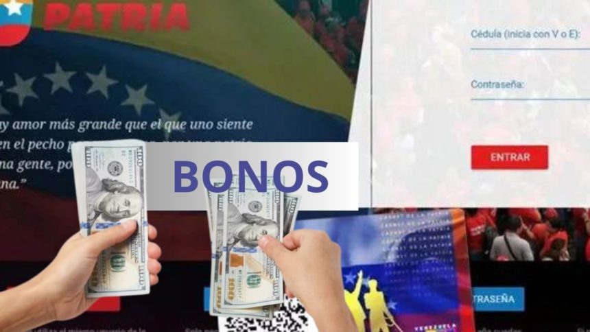 dos bonos en patria