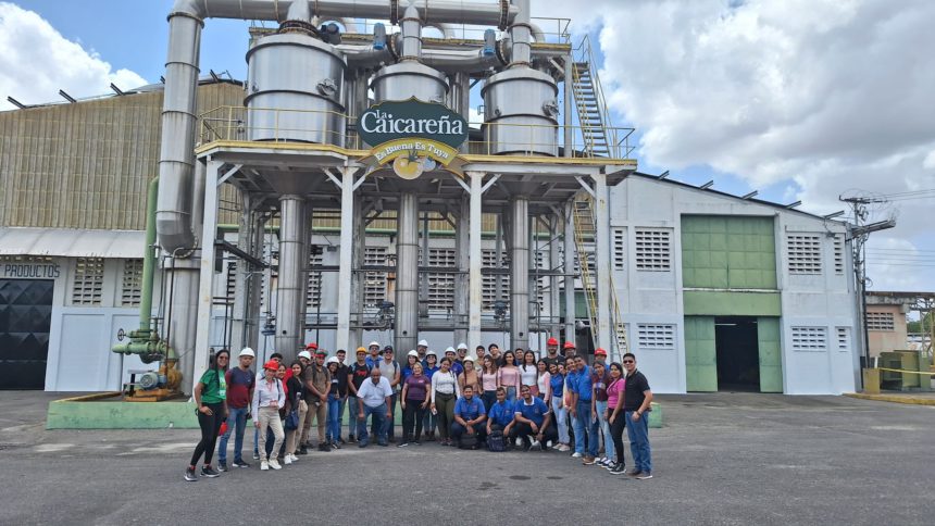 visita