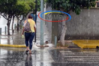 Lluvias y chubascos