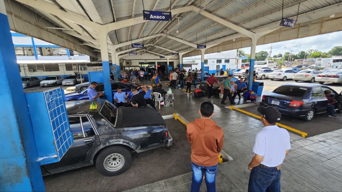 Más de 600 unidades garantizarán movilidad en Monagas durante el Carnaval 2025 4 mas de 600 unidades garantizaran movilidad en monagas durante el carnaval 2025 laverdaddemonagas.com terminal3