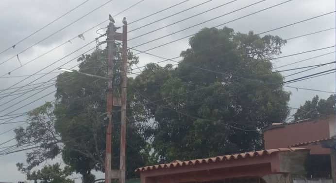 Sin energía eléctrica en 5 de Julio por más de dos horas