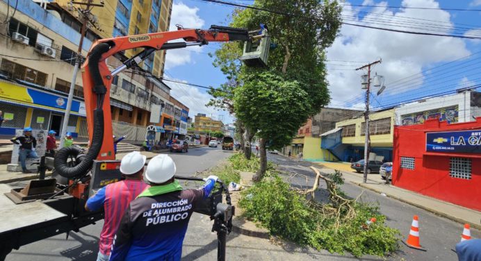 Alcaldía de Maturín ejecuta jornada de pica y poda en la avenida Bicentenario