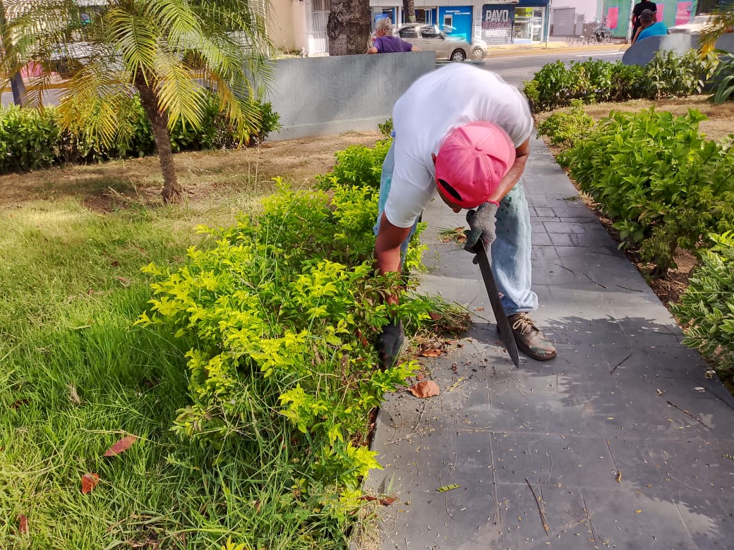 Alcaldía de Maturín ejecuta trabajos de ornato en plazas y espacios recreativos del municipio 3 alcaldia de maturin ejecuta trabajos de ornato en plazas y espacios recreativos del municipio laverdaddemonagas.com ornato3