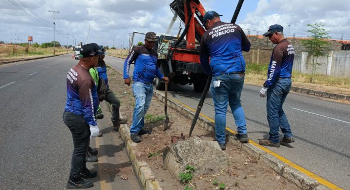 Alcaldía de Maturín optimiza alumbrado público en la avenida principal de Los Iraníes