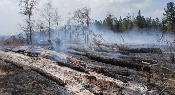 En conjunto trabajan para controlar incendio al sur de Monagas