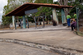 Piden cese de quema de maleza