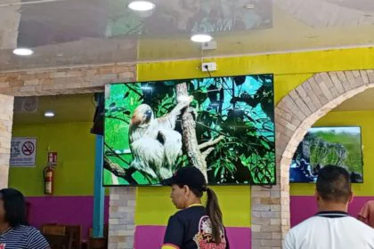 Fanáticos disfrutarán el juego en pantalla gigante