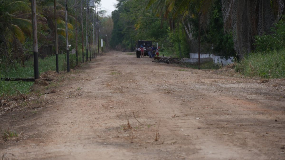 gobierno bolivariano mejora vialidad agricola en valle del guarapiche laverdaddemonagas.com vialidad3