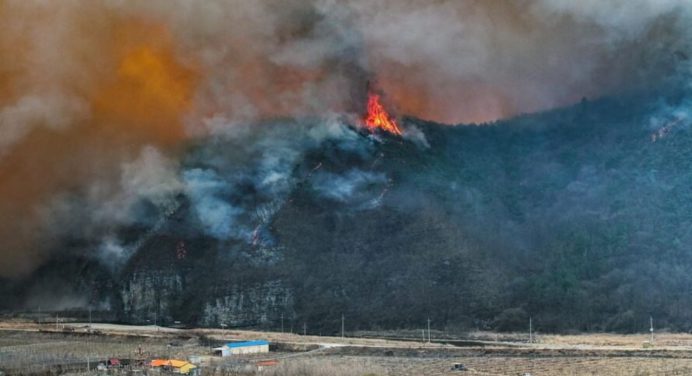 Incendios forestales en Corea del Sur dejan al menos 24 muertos