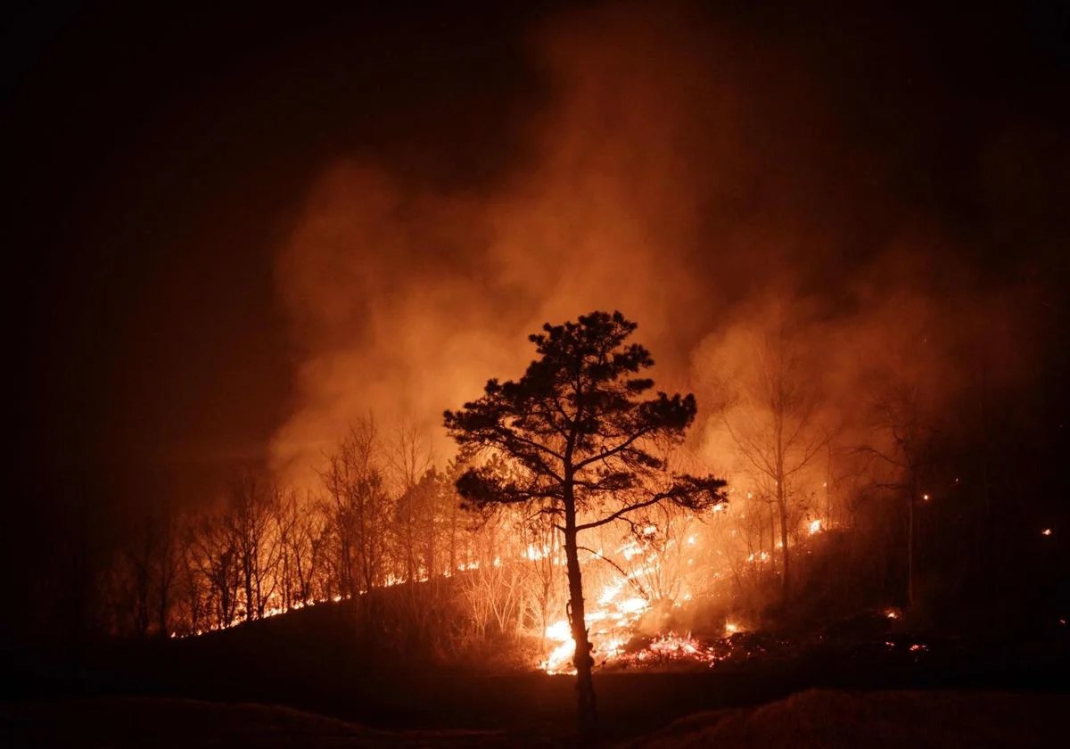 Incendios forestales en Corea del Sur