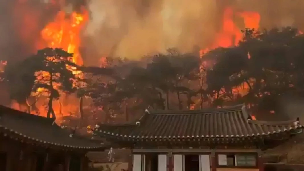 Incendios forestales en Corea del Sur