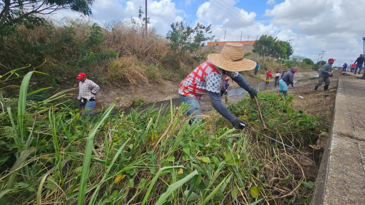 Más de 40 caños saneados a través de Programa de mitigación de riesgos 3 mas de 40 canos saneados a traves de programa de mitigacion de riesgos laverdaddemonagas.com image