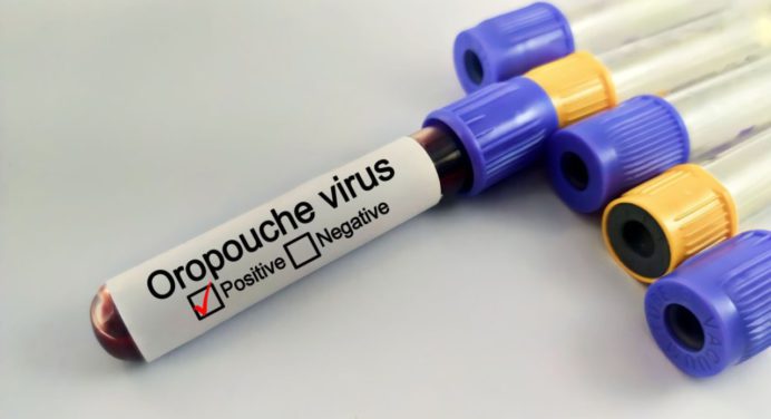 Ministerio de Salud informa la detección 5 casos de virus Oropouche en el país
