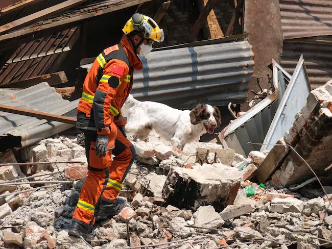 Víctimas del terremoto 