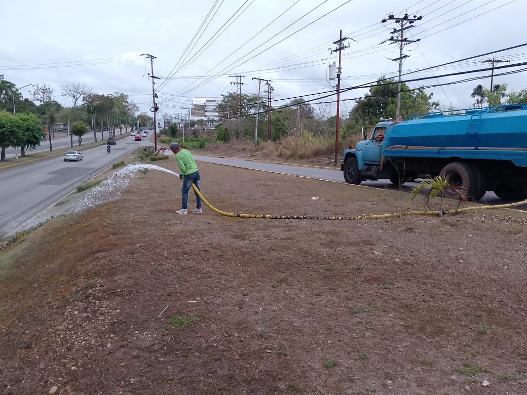Alcaldía de Maturín refuerza labores de hidratación y mantenimiento al ornato 2 alcaldia de maturin refuerza labores de hidratacion y mantenimiento al ornato laverdaddemonagas.com barrido2