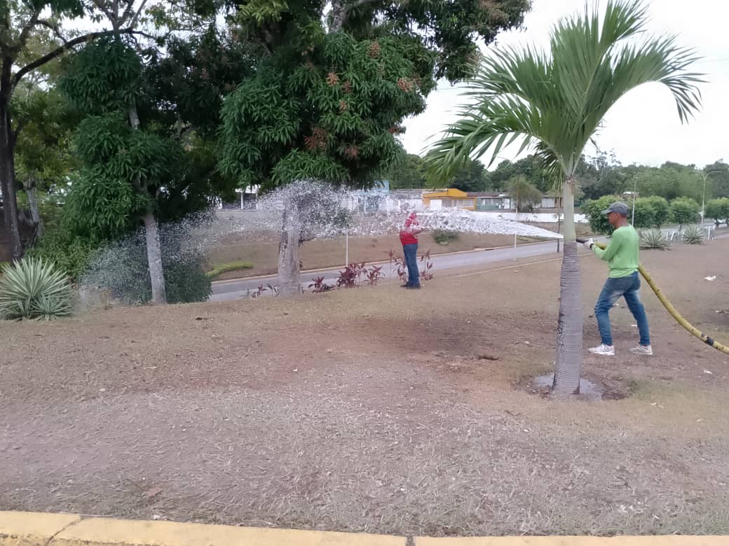 Alcaldía de Maturín refuerza labores de hidratación y mantenimiento al ornato 4 alcaldia de maturin refuerza labores de hidratacion y mantenimiento al ornato laverdaddemonagas.com barrido4