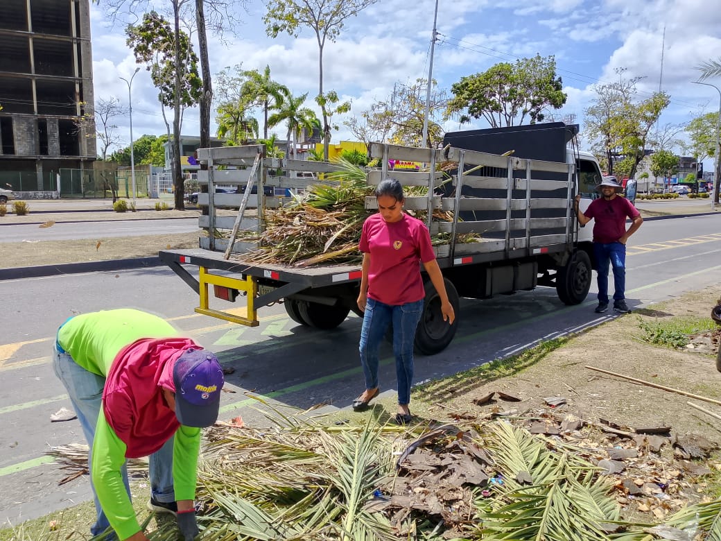Alcaldía de Maturín refuerza labores de hidratación y mantenimiento al ornato 5 alcaldia de maturin refuerza labores de hidratacion y mantenimiento al ornato laverdaddemonagas.com ornato5