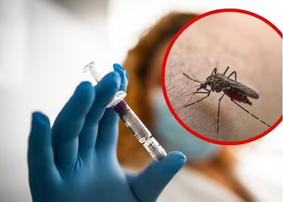 propagación de fiebre amarilla