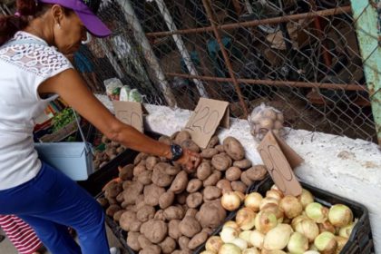 Antes de comprar, los clientes recorren