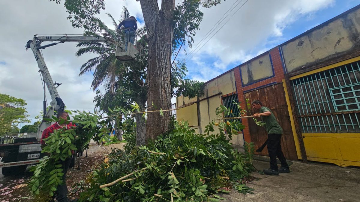 ejecutan labores de pica y poda en la avenida orinoco de maturin laverdaddemonagas.com pica2