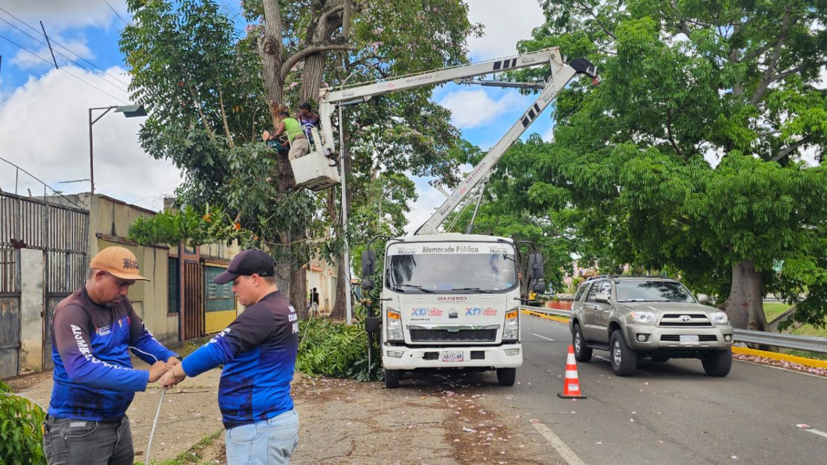 ejecutan labores de pica y poda en la avenida orinoco de maturin laverdaddemonagas.com pica3