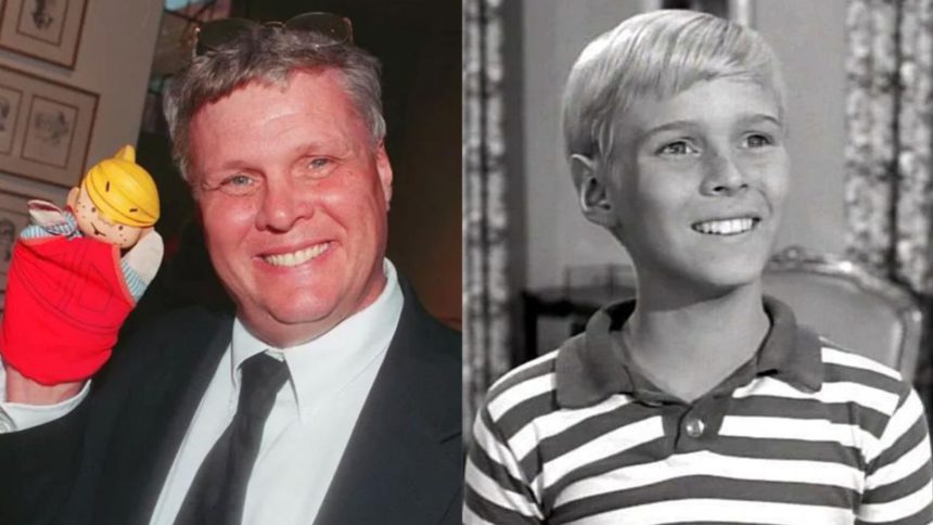 fallece jay north el actor que interpreto a daniel el travieso laverdaddemonagas.com la verdad de monagas 10