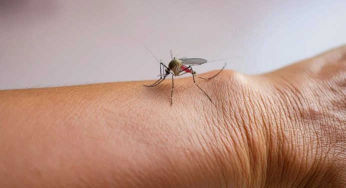 Fiebre amarilla en Perú: van 12 personas muertas