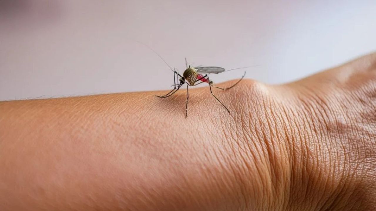 Fiebre amarilla en Perú