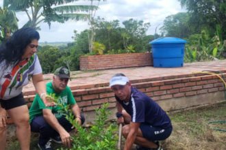 Miembros de Funvive sembraron árboles