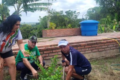 Miembros de Funvive sembraron árboles