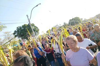 palmas