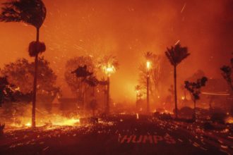 Incendio forestal en Nueva Jersey