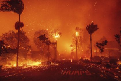 Incendio forestal en Nueva Jersey
