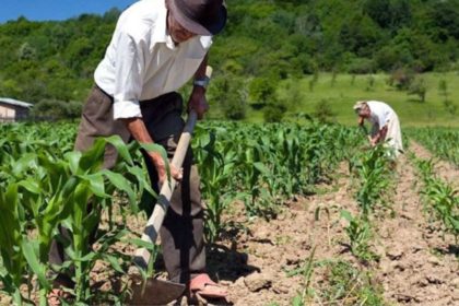 Lucha Campesina