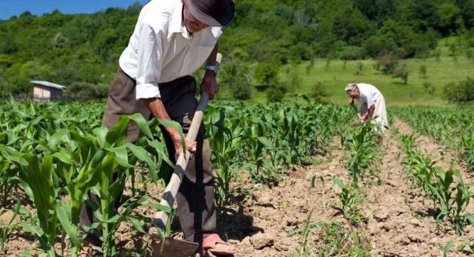 Maduro celebra el Día Mundial de la Lucha Campesina este jueves santo