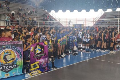 voleibol