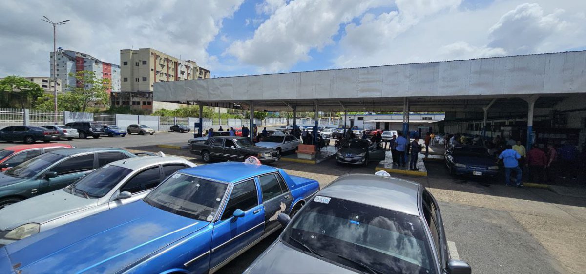 numerosos temporadistas retornaron por el terminal de maturin laverdaddemonagas.com terminal4