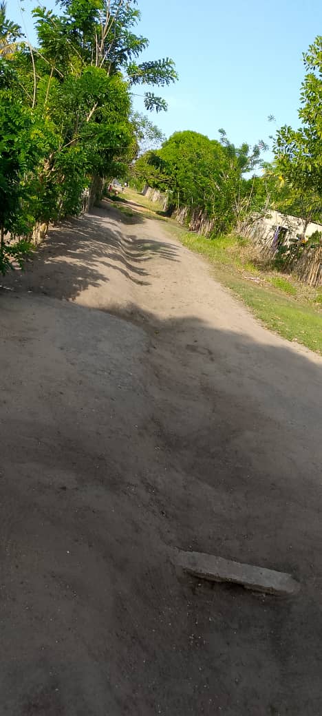 vertedero de basura amenaza salud de vecinos de la calle 10 de santa ines laverdaddemonagas.com asi estan las calles de santa ines 1