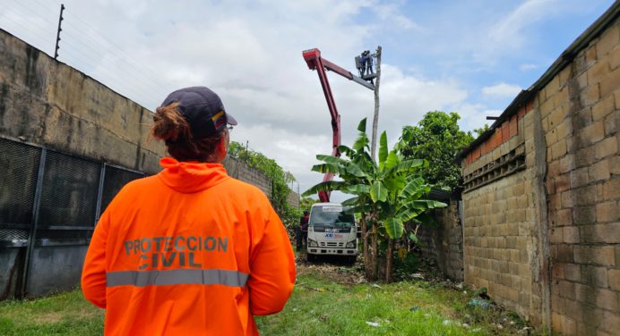 Alcaldía de Maturín activa plan de tala y poda de árboles