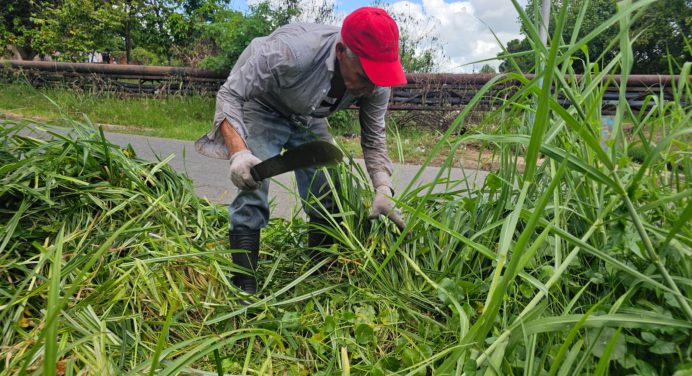 Alcaldía de Maturín inició saneamiento del caño La Muralla y 5 de julio
