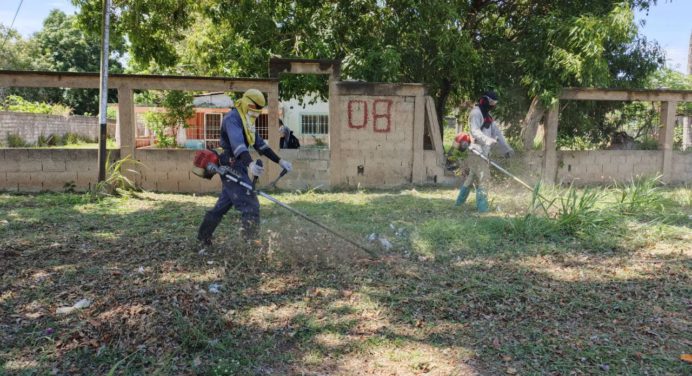Alcaldía de Maturín intensifica mantenimiento de áreas verdes