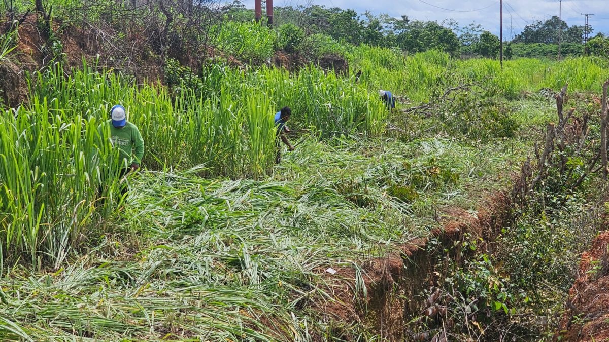 Avanza saneamiento del caño Los Próceres en Tipuro 4 avanza saneamiento del cano los proceres en tipuro laverdaddemonagas.com cano4