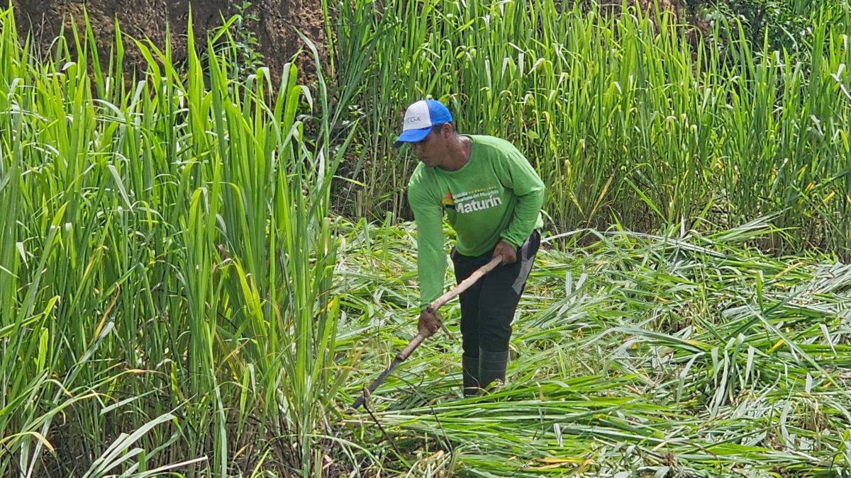 Avanza saneamiento del caño Los Próceres en Tipuro 5 avanza saneamiento del cano los proceres en tipuro laverdaddemonagas.com cano5