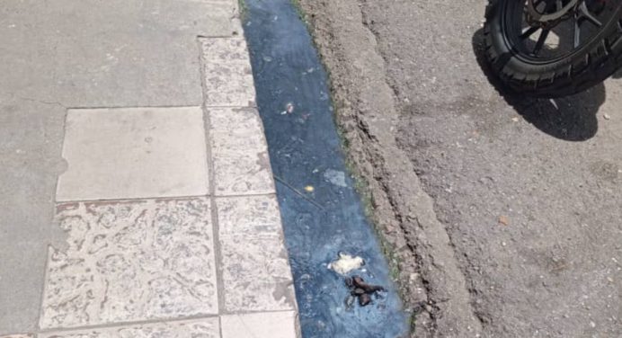 Desborde de aguas negras, aguas blancas y malos olores adornan casco central de Maturín