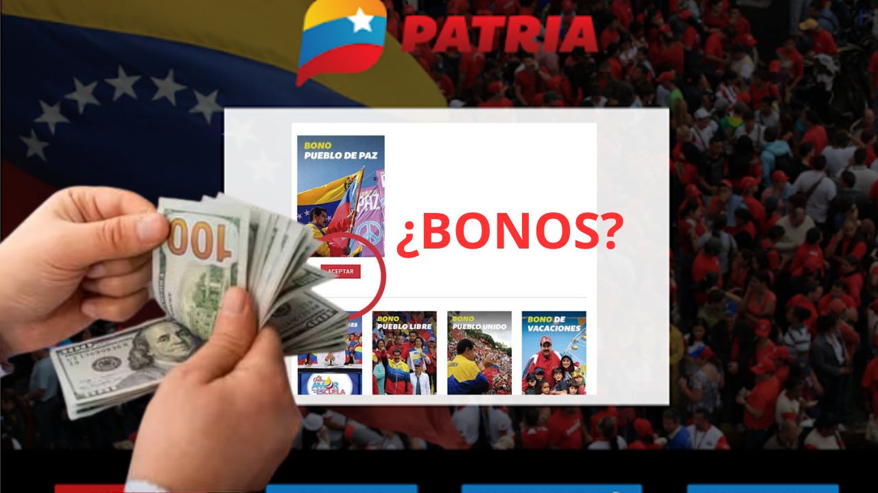 los nuevos BONOS PATRIA
