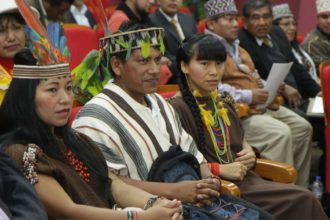 legisladores de los pueblos indígenas