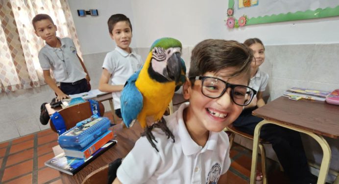 Día del Niño: Tejiendo los sueños del futuro