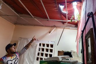 Con la caída del árbol se dañó el techo de 3 casas