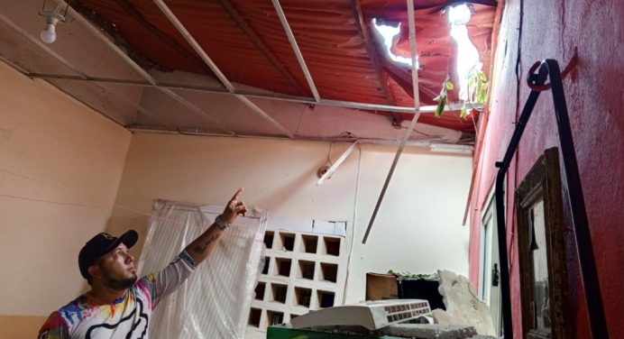 Familias afectadas por caída de árbol solicitan ayuda gubernamental