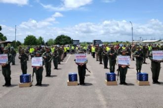 elecciones de diputados indígenas